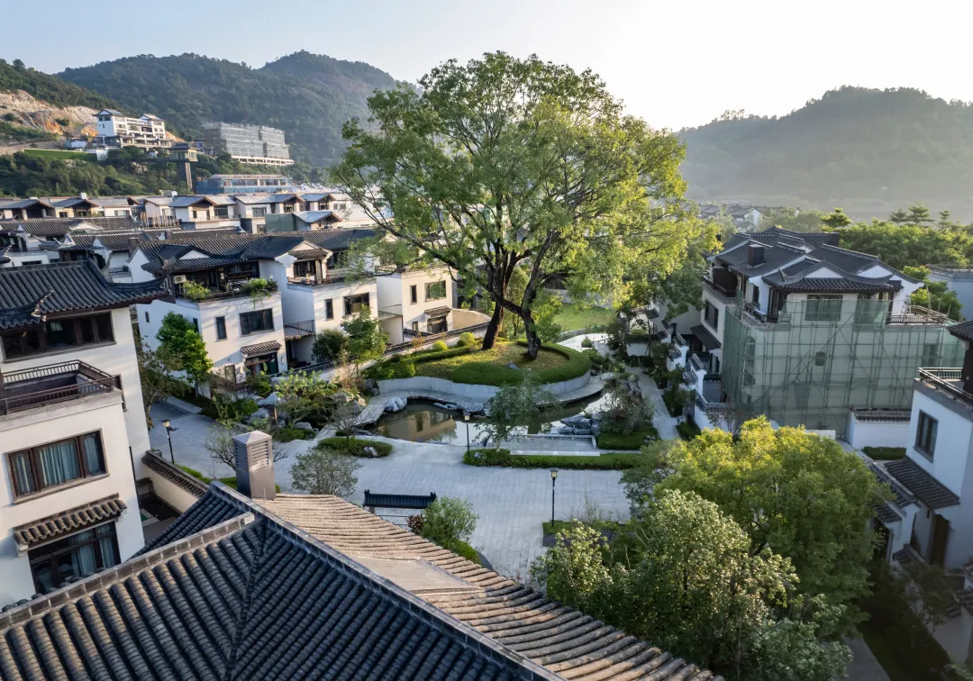 1735614045853653.jpg 1735614025677.jpg