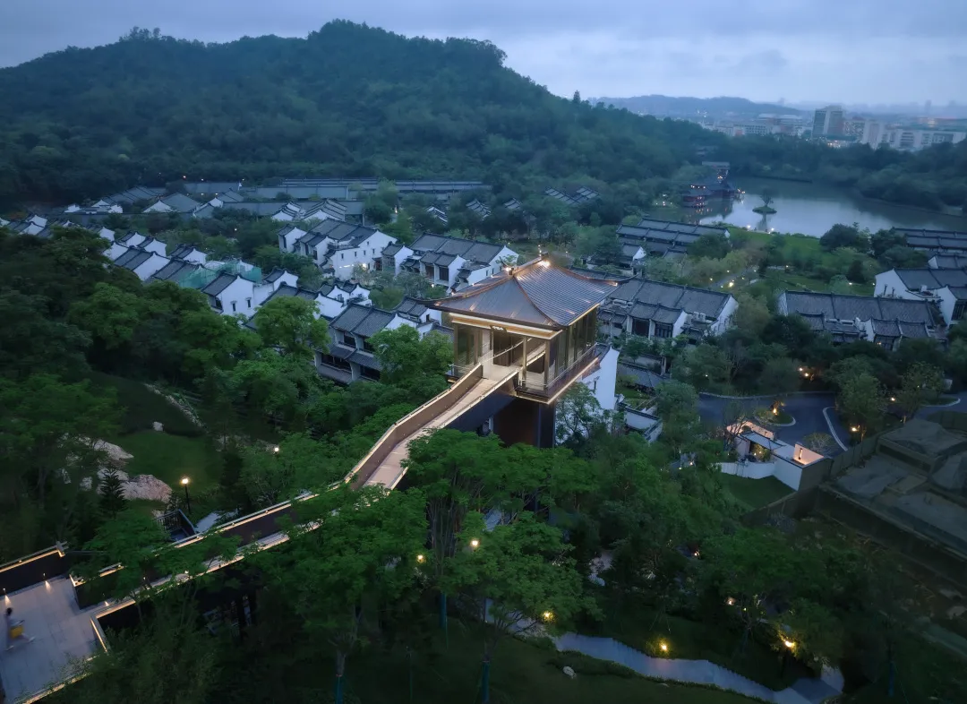 1735614134129191.jpg 1735614127783.jpg