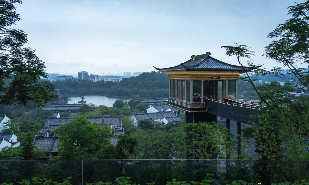 1735614147123486.jpg 1735614143826.jpg