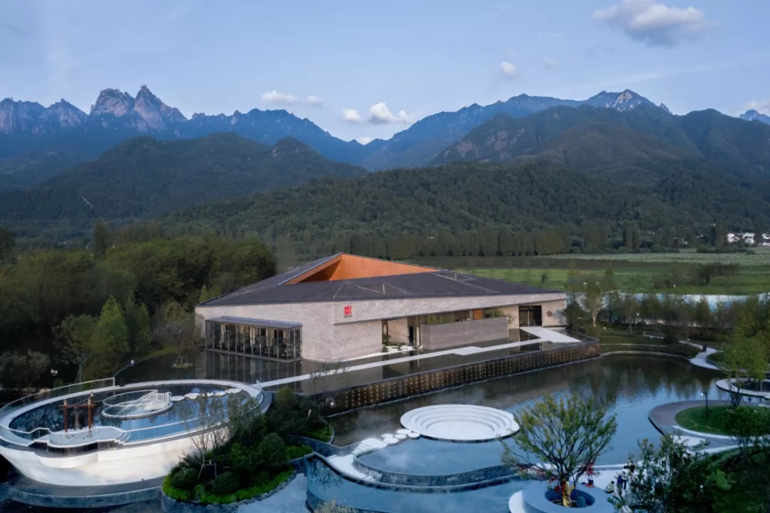 1735616288766146.jpg 1735616280502.jpg