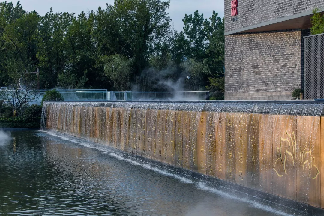 1735616341769969.jpg 1735616334838.jpg