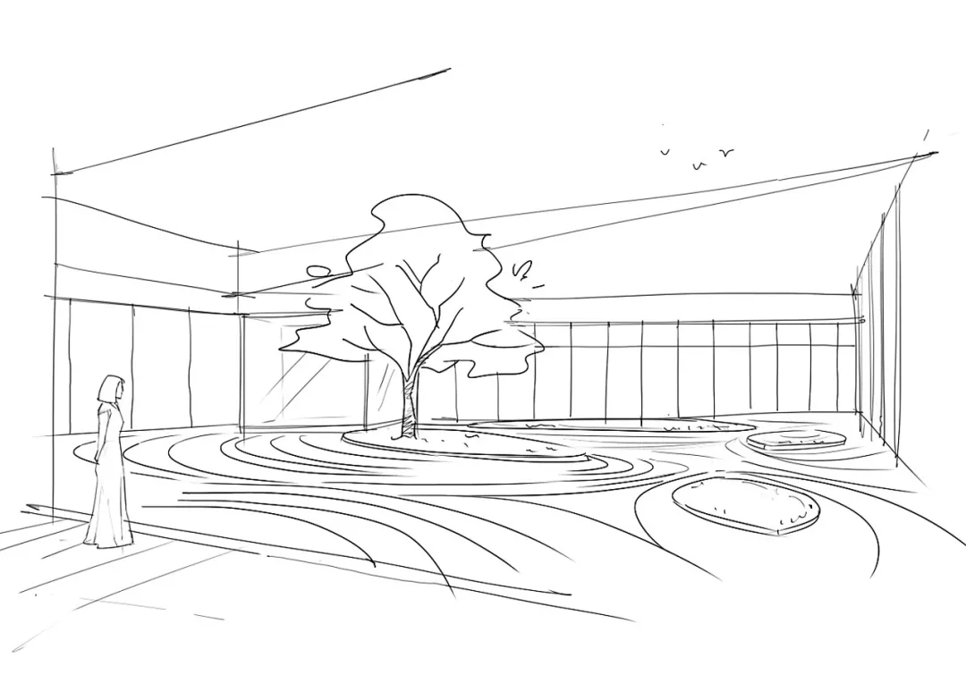 1735616470145704.jpg 1735616445772.jpg