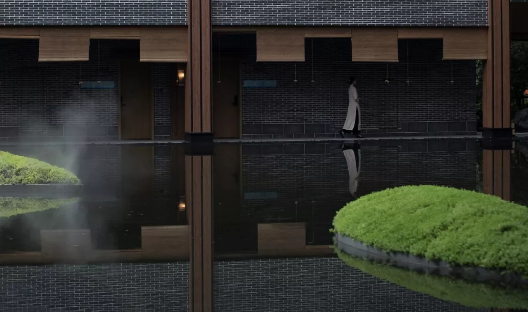 1735616519728777.jpg 1735616502503.jpg