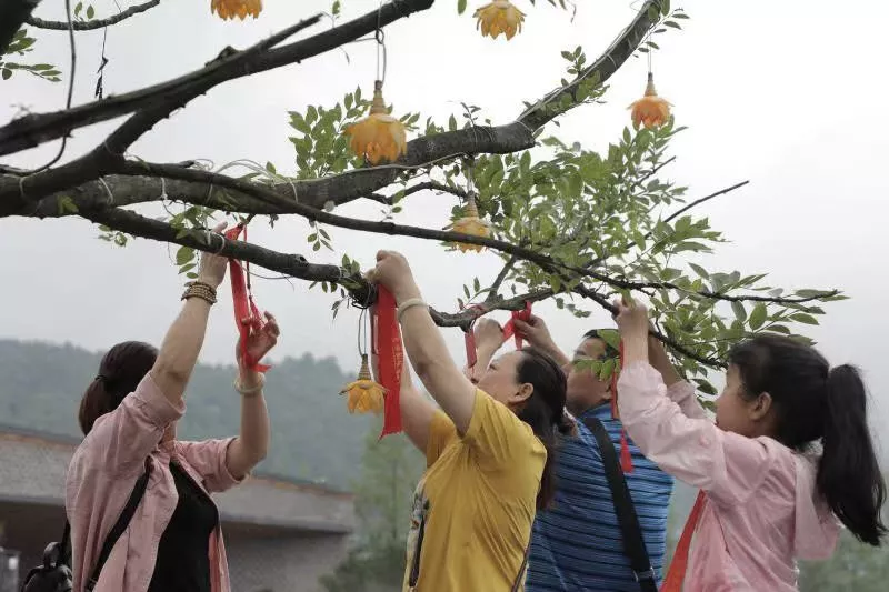 1735616567212228.jpg 1735616545118.jpg