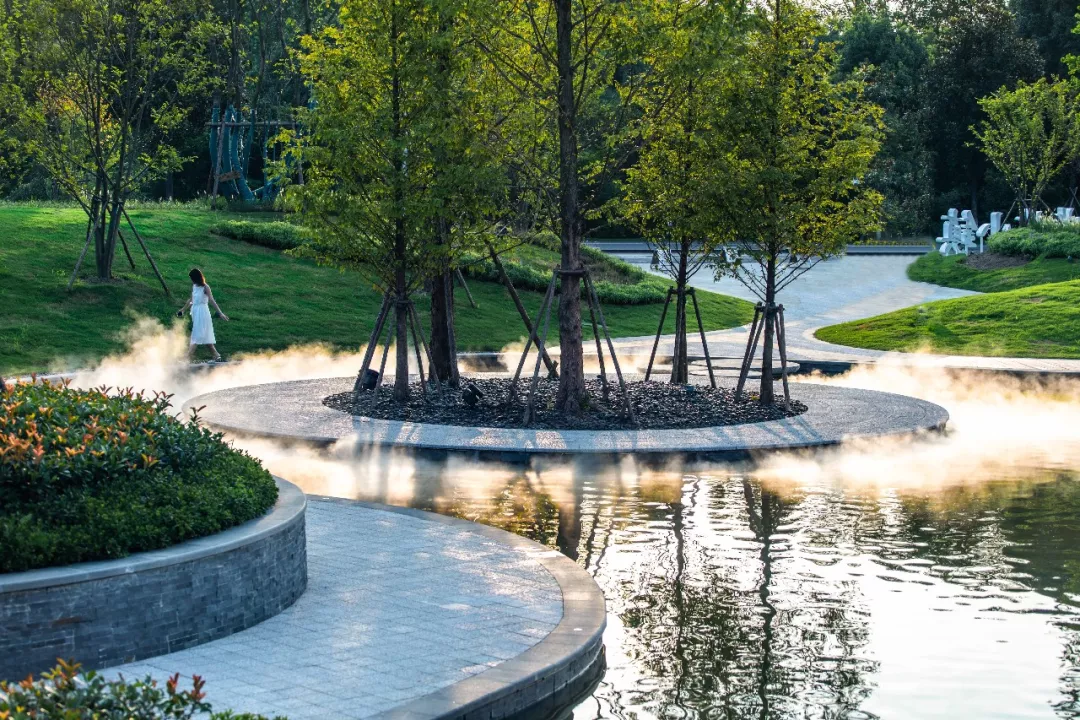 1735616620160988.jpg 1735616616381.jpg