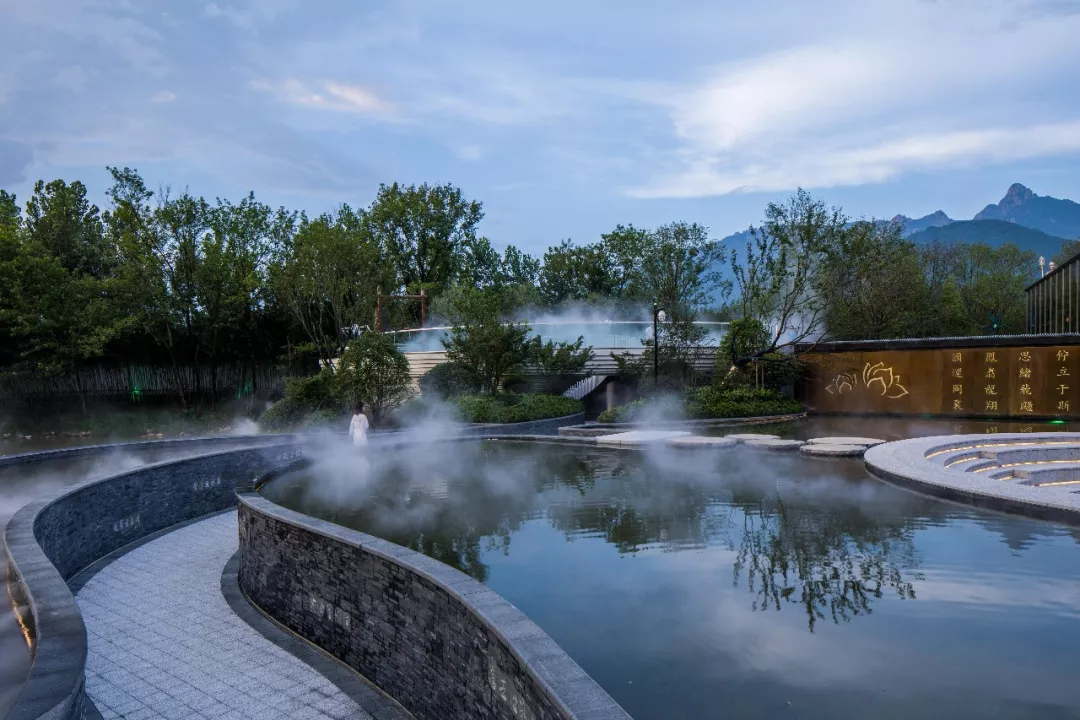 1735616635153424.jpg 1735616628453.jpg