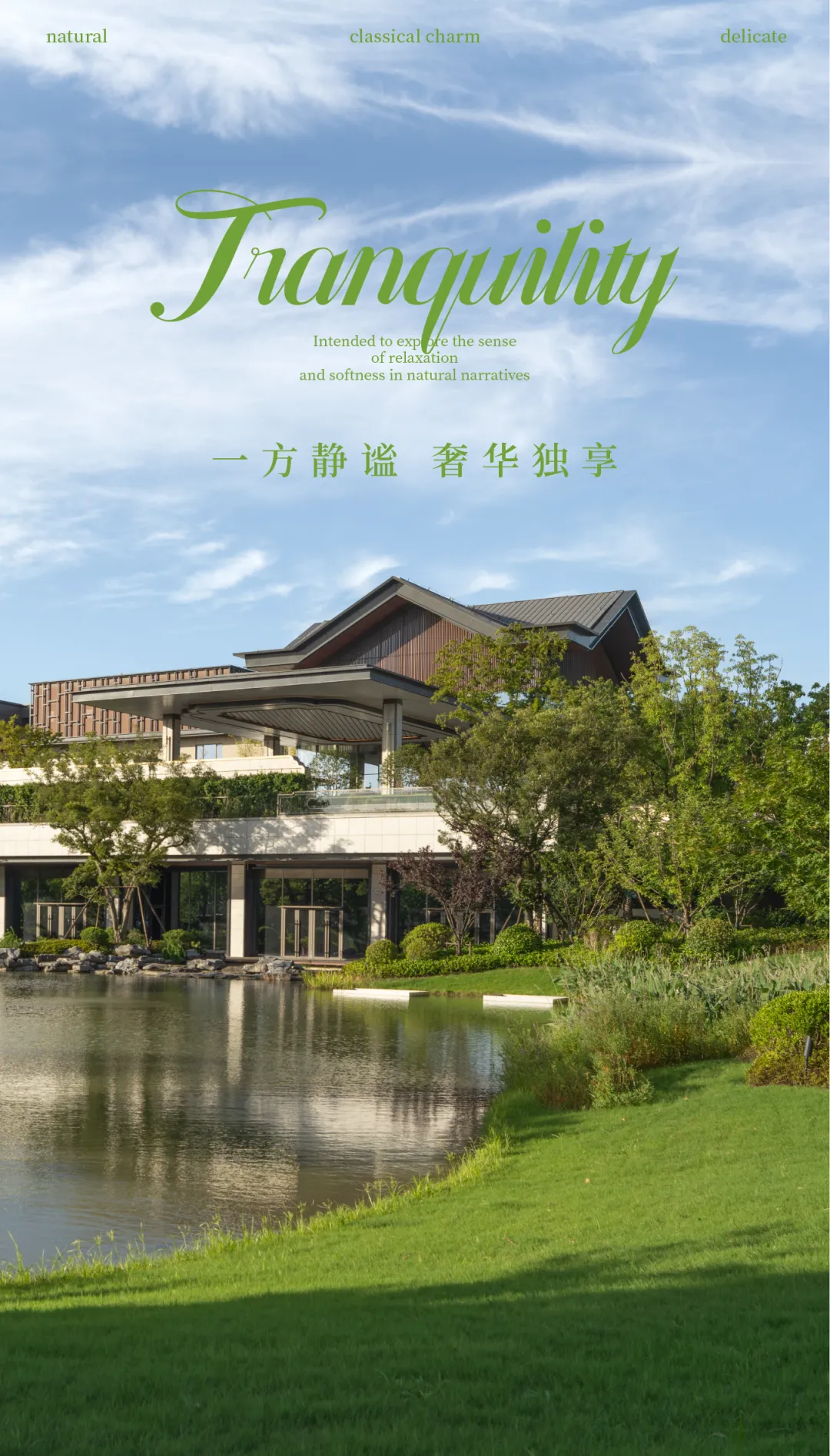 1735625095180919.jpg 1735625051299.jpg