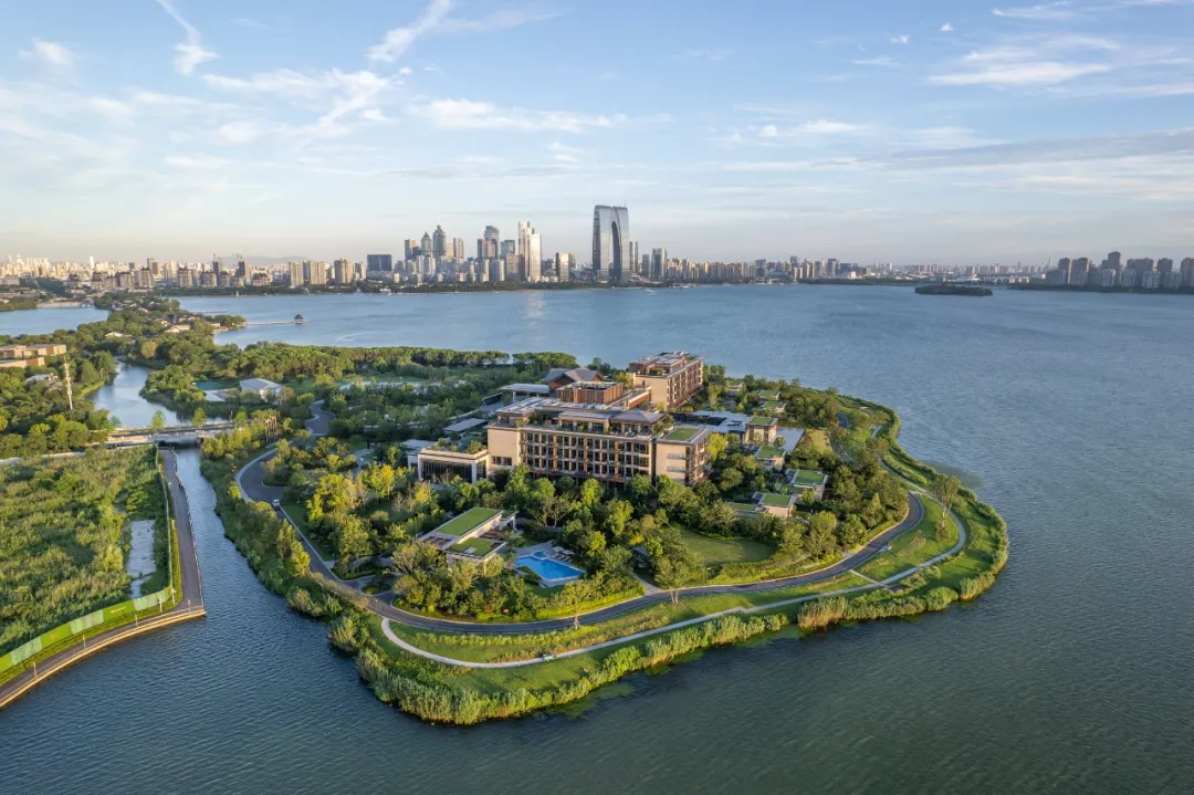 1735625176145133.jpg 1735625134007.jpg