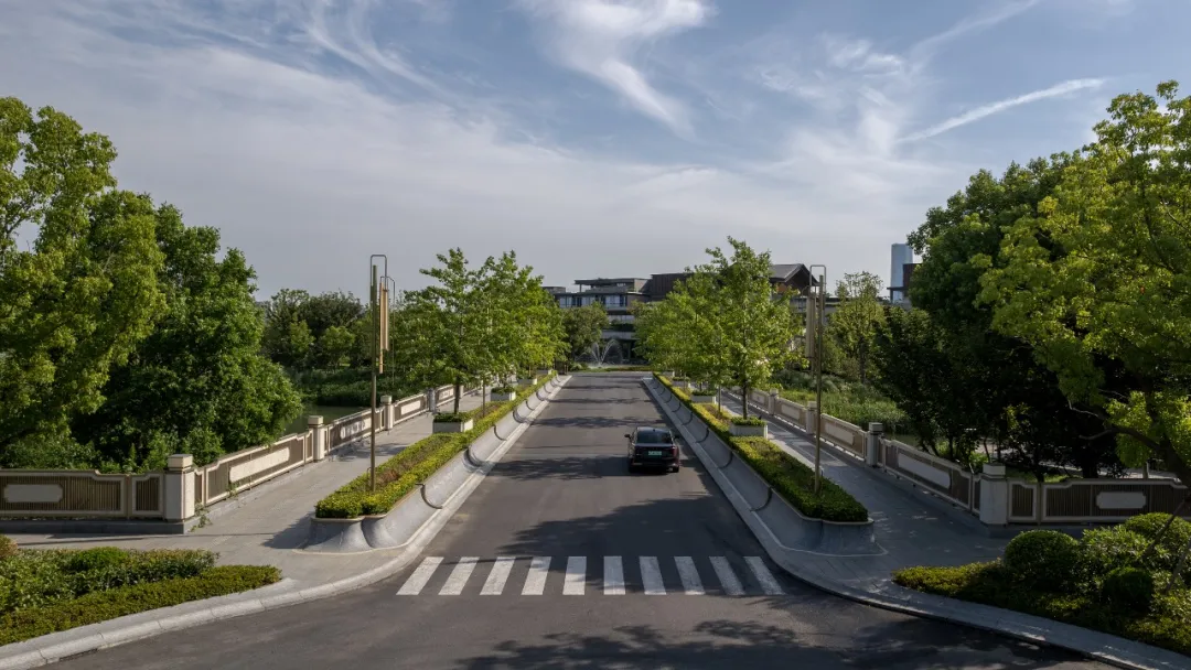 1735625181162690.jpg 1735625135999.jpg