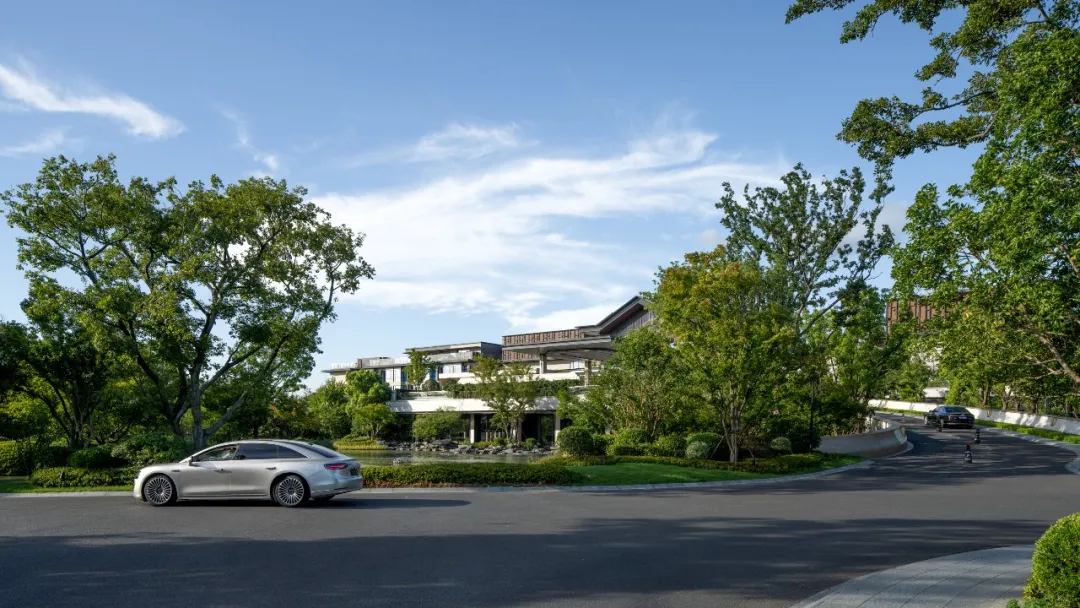 1735625217957678.jpg 1735625190163.jpg