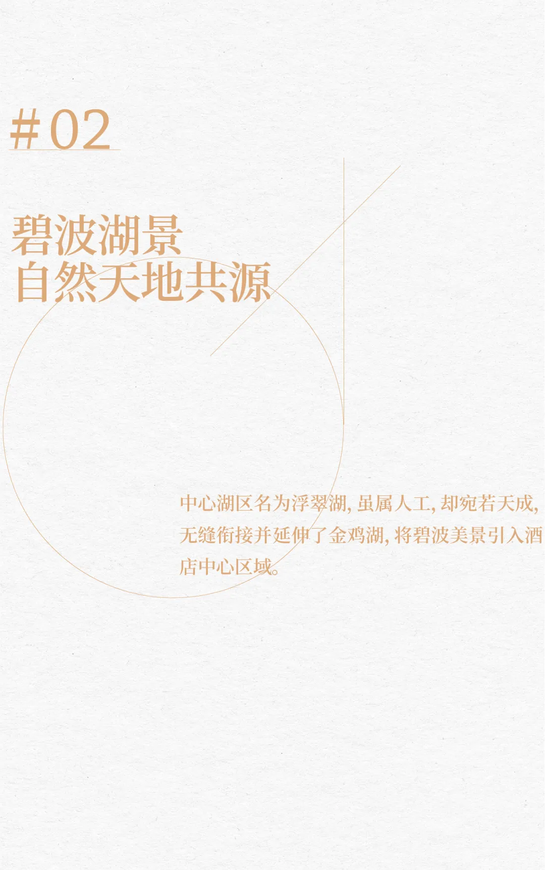 1735625226168248.jpg 1735625197102.jpg