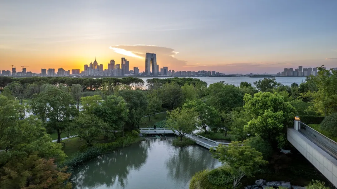 1735625235139881.jpg 1735625203046.jpg