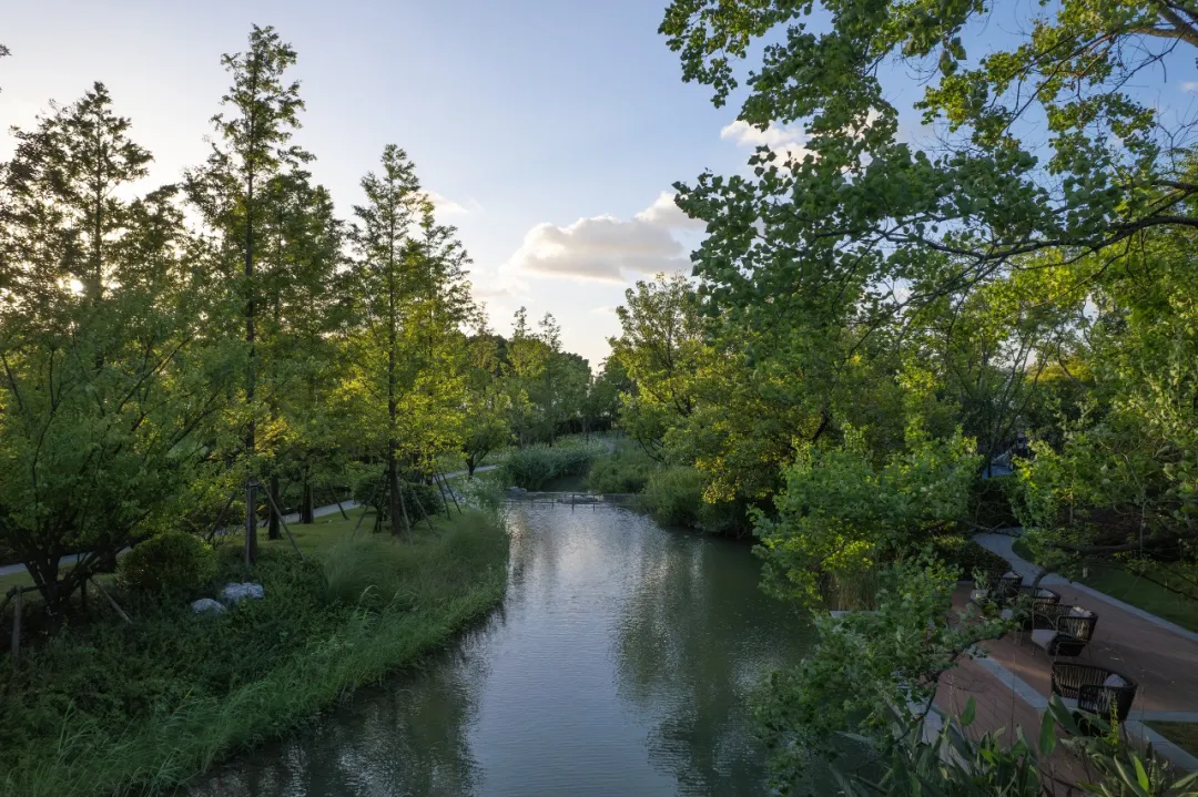 1735625239838173.jpg 1735625204704.jpg