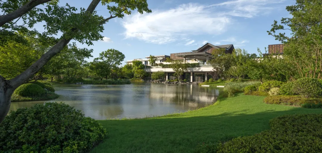 1735625279339634.jpg 1735625252669.jpg