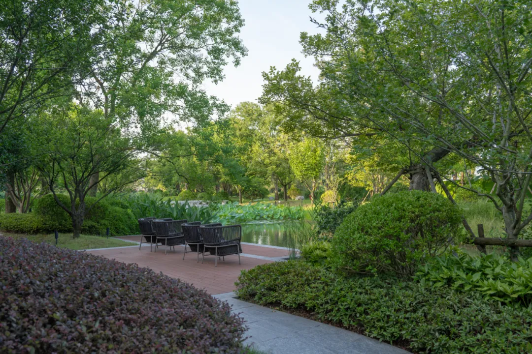 1735625284195278.jpg 1735625255426.jpg