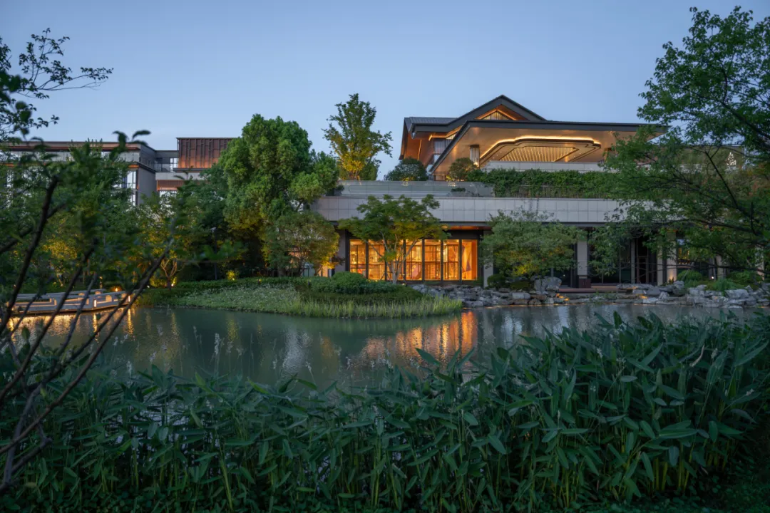 1735625288859950.jpg 1735625259215.jpg