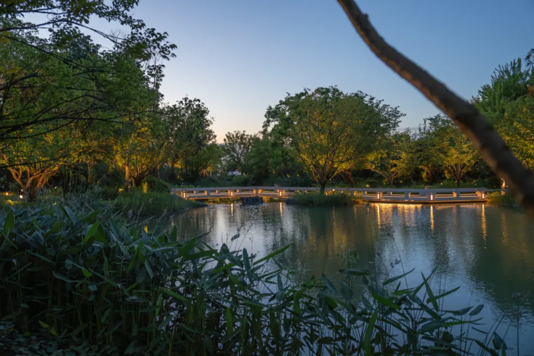 1735625293897664.jpg 1735625261159.jpg