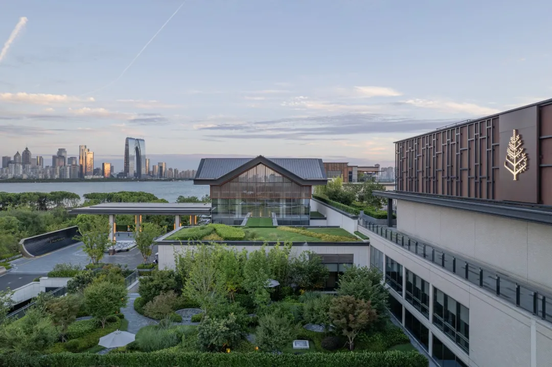 1735625304176375.jpg 1735625268526.jpg