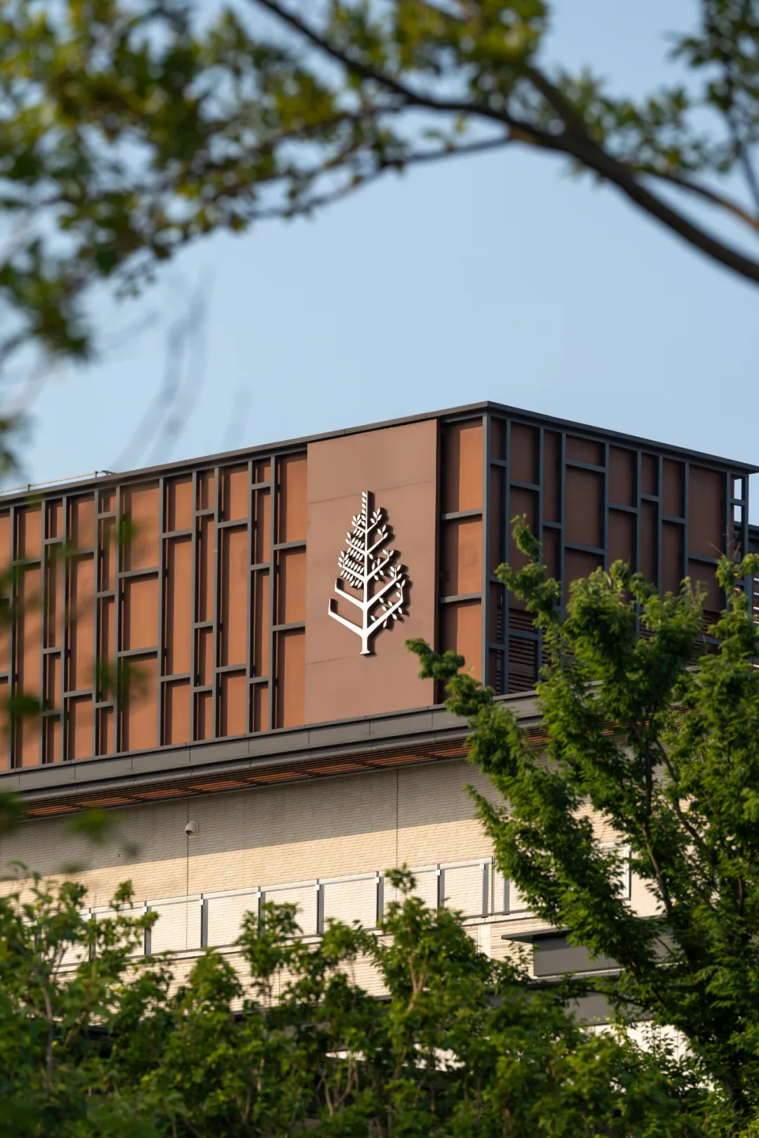 1735625364102981.jpg 1735625331285.jpg