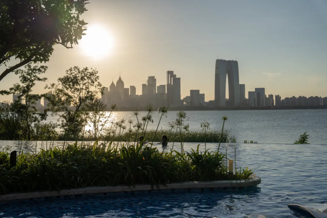 1735625384148809.jpg 1735625339033.jpg