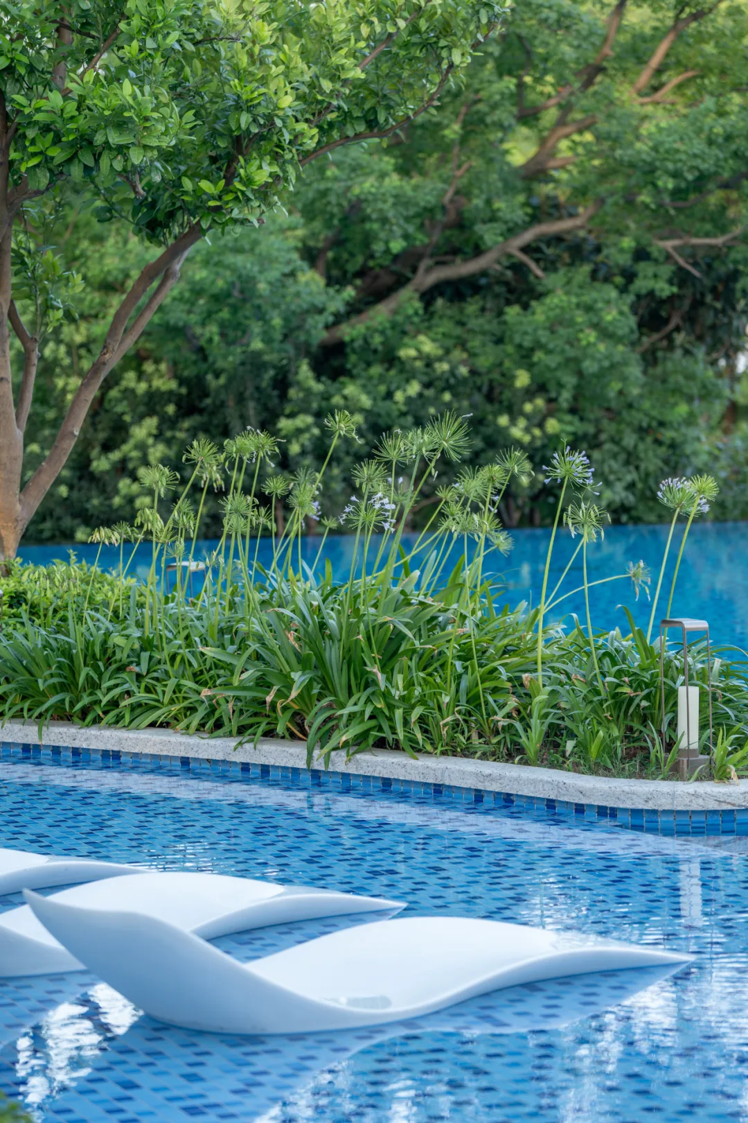 1735625434852529.jpg 1735625405855.jpg