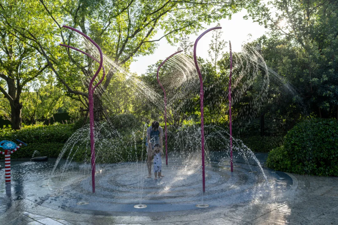 1735625437579969.jpg 1735625407435.jpg