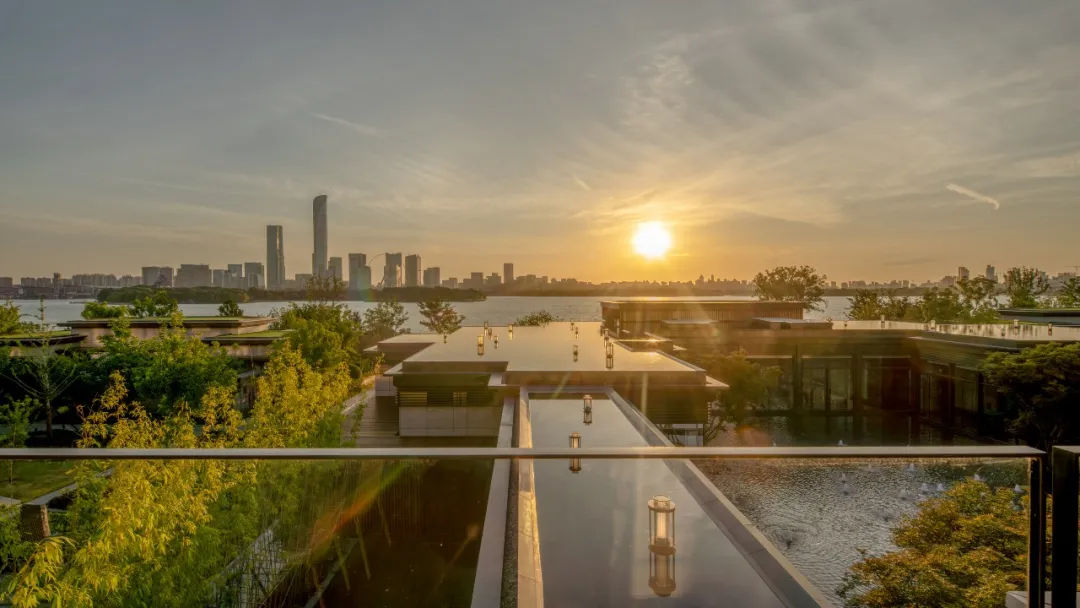 1735625455470540.jpg 1735625418612.jpg