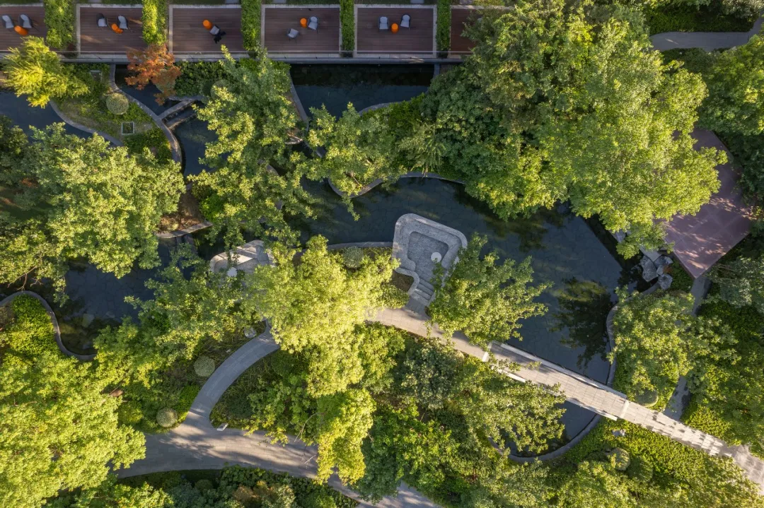 1735625504110369.jpg 1735625489345.jpg