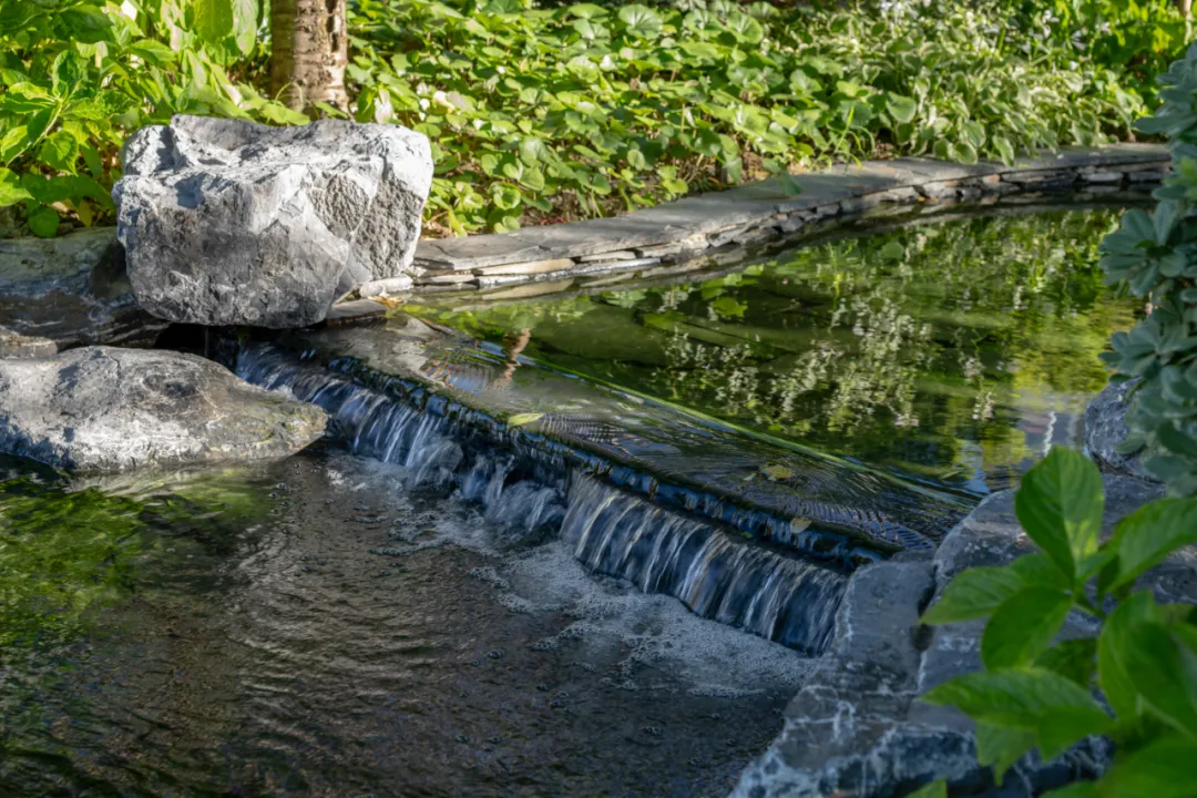 1735625511132584.jpg 1735625495584.jpg