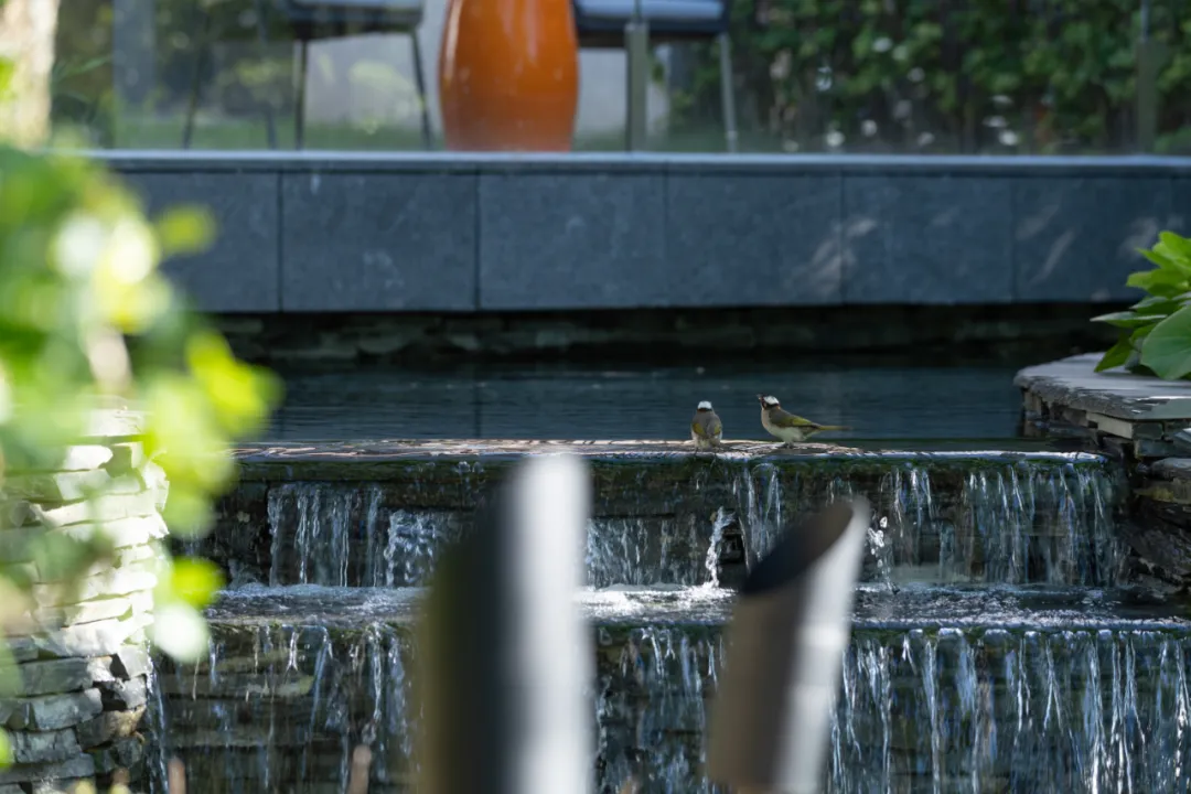 1735625515151835.jpg 1735625497059.jpg