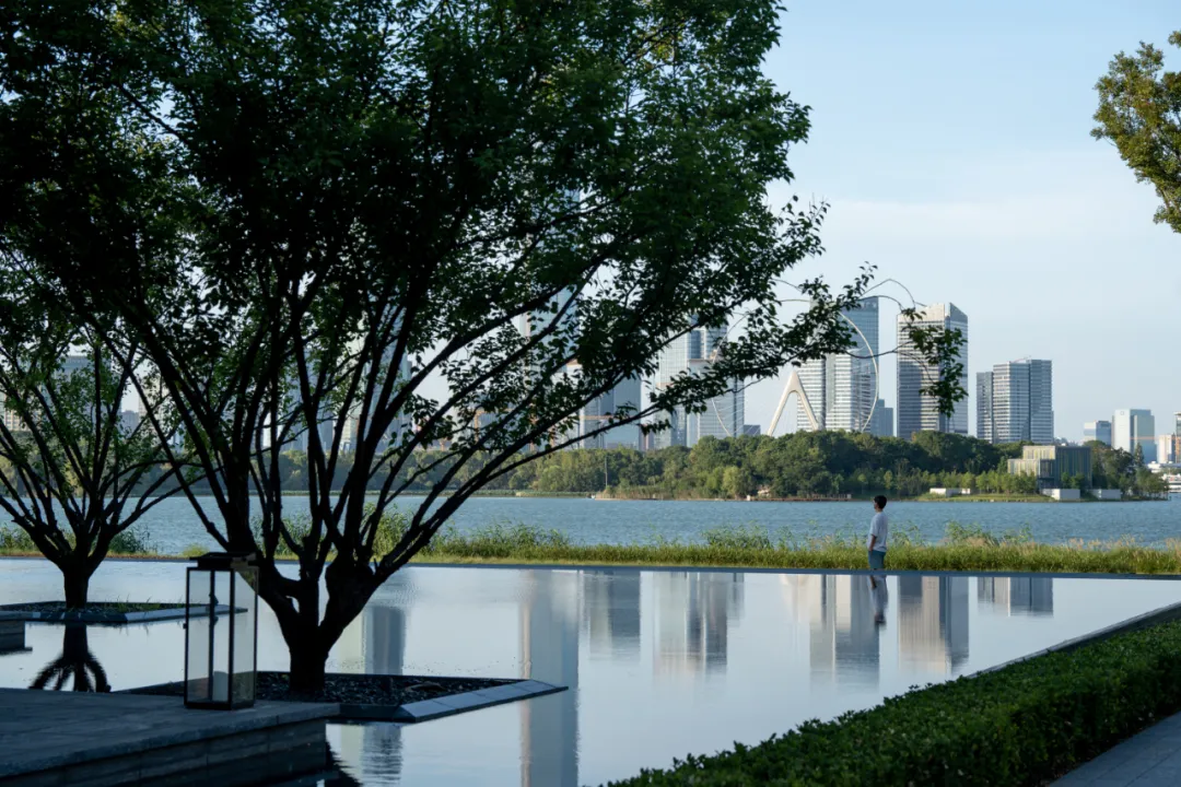 1735625552183397.jpg 1735625538658.jpg