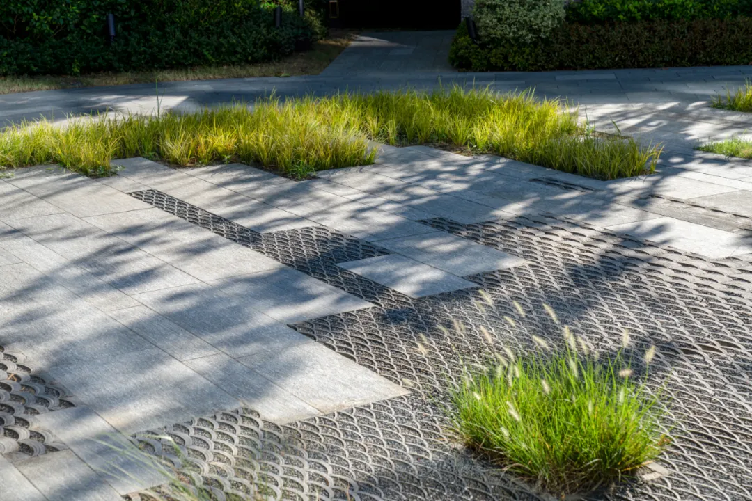 1735625642116635.jpg 1735625571109.jpg