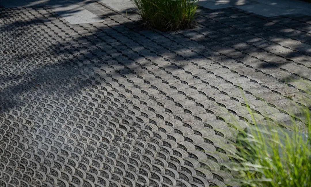 1735625646543827.jpg 1735625573552.jpg