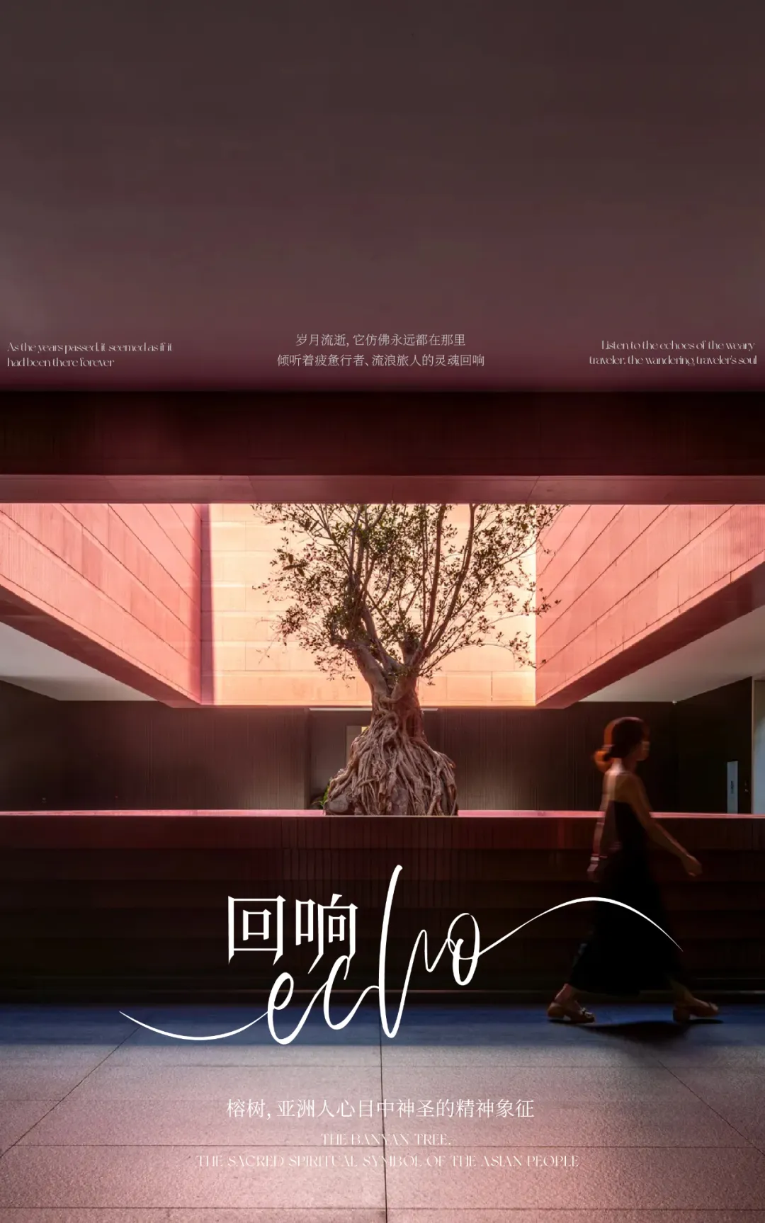 1735627601132718.jpg 1735627573779.jpg