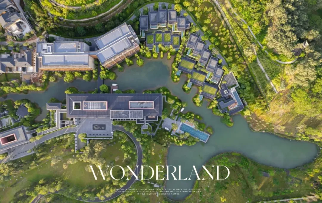 1735627639359564.jpg 1735627629479.jpg