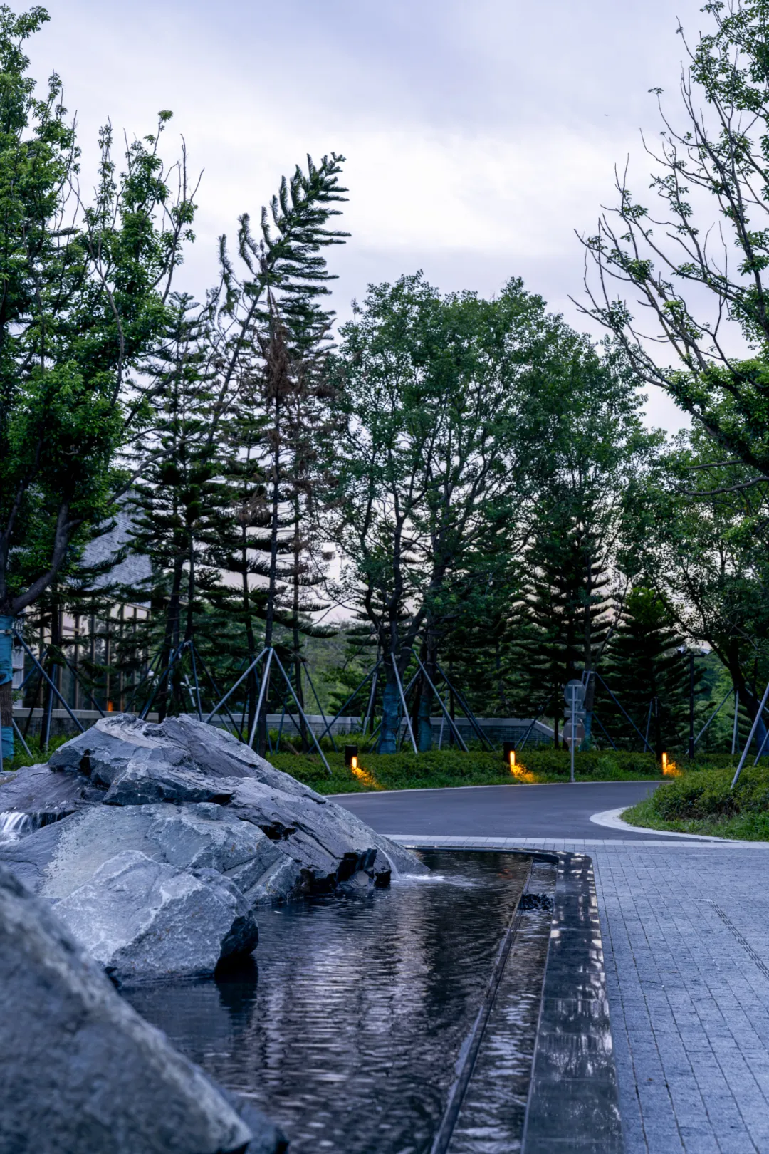 1735627712800424.jpg 1735627704323.jpg