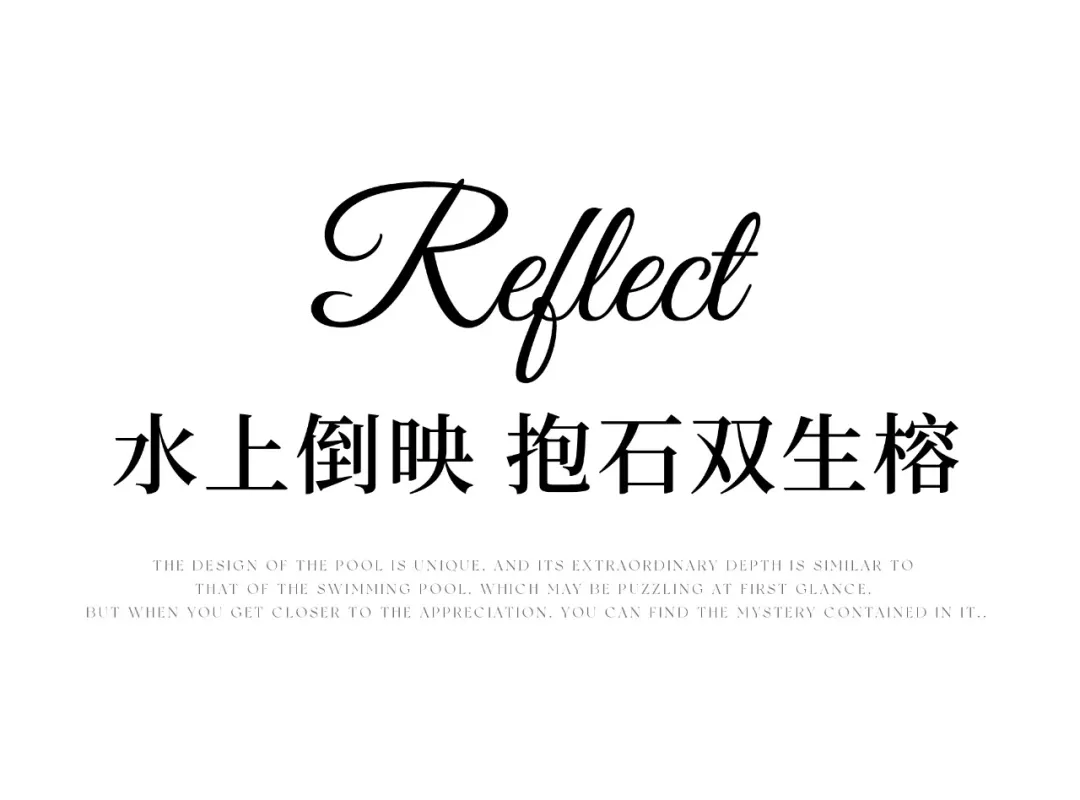 1735627714110645.jpg 1735627707017.jpg