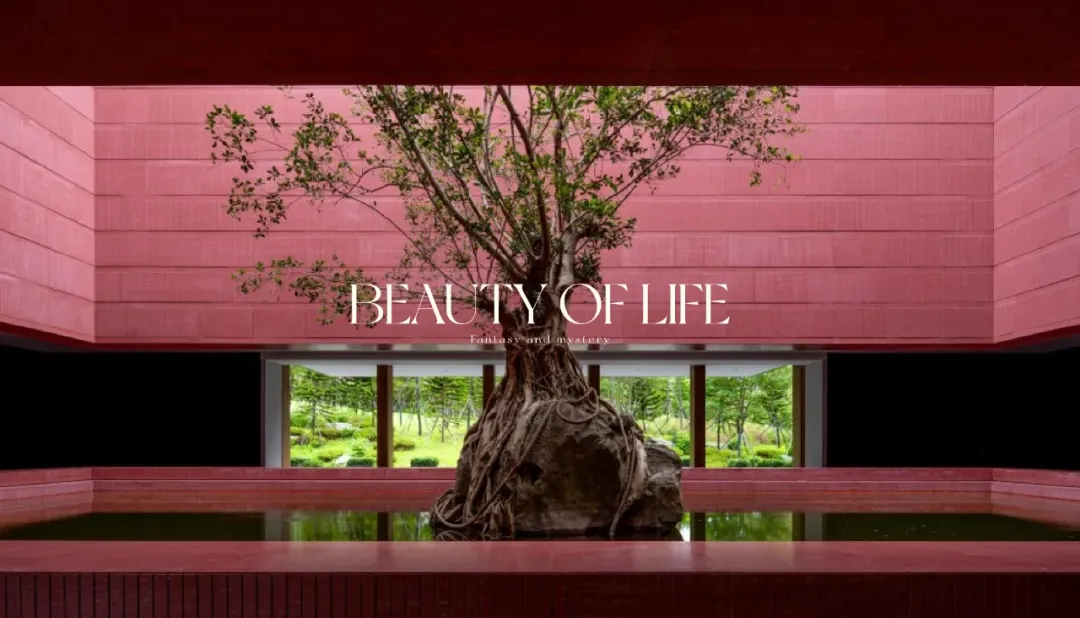 1735627729630858.jpg 1735627720973.jpg