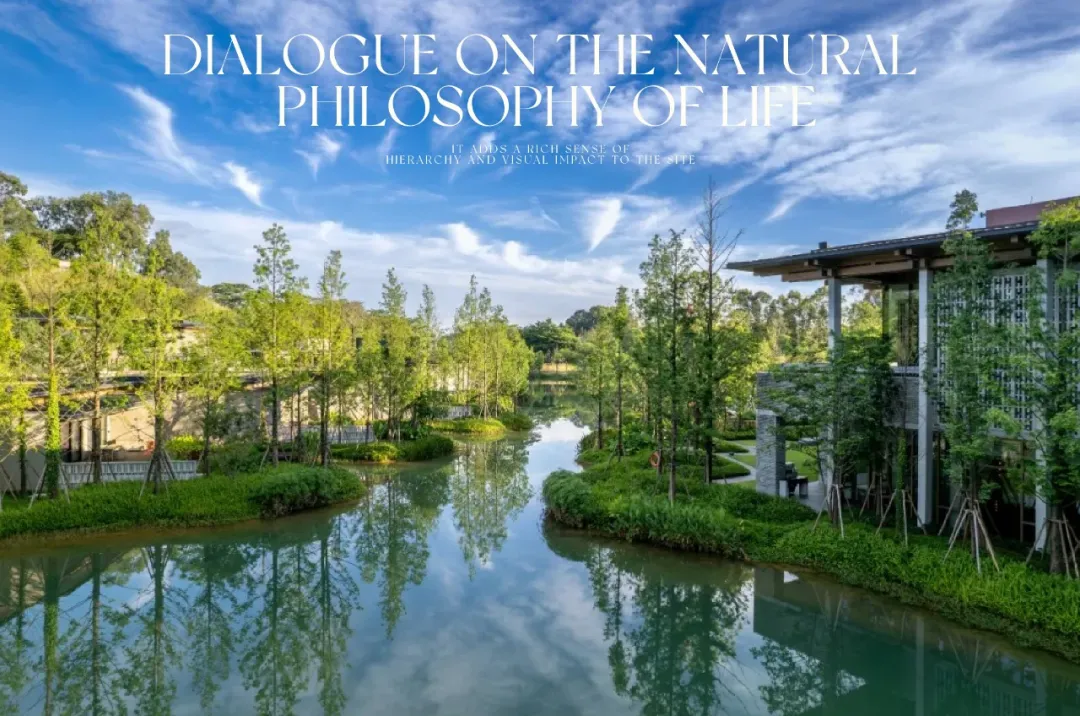 1735627821184268.jpg 1735627811711.jpg