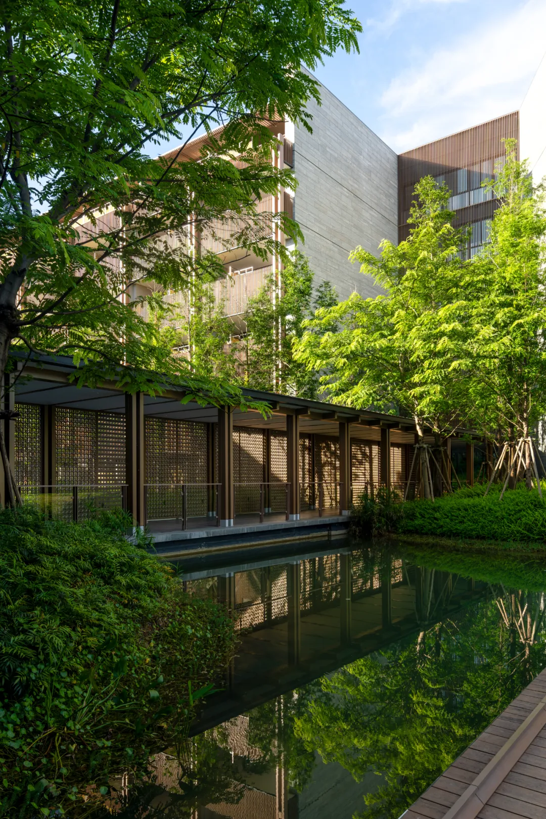 1735627826183546.jpg 1735627813701.jpg