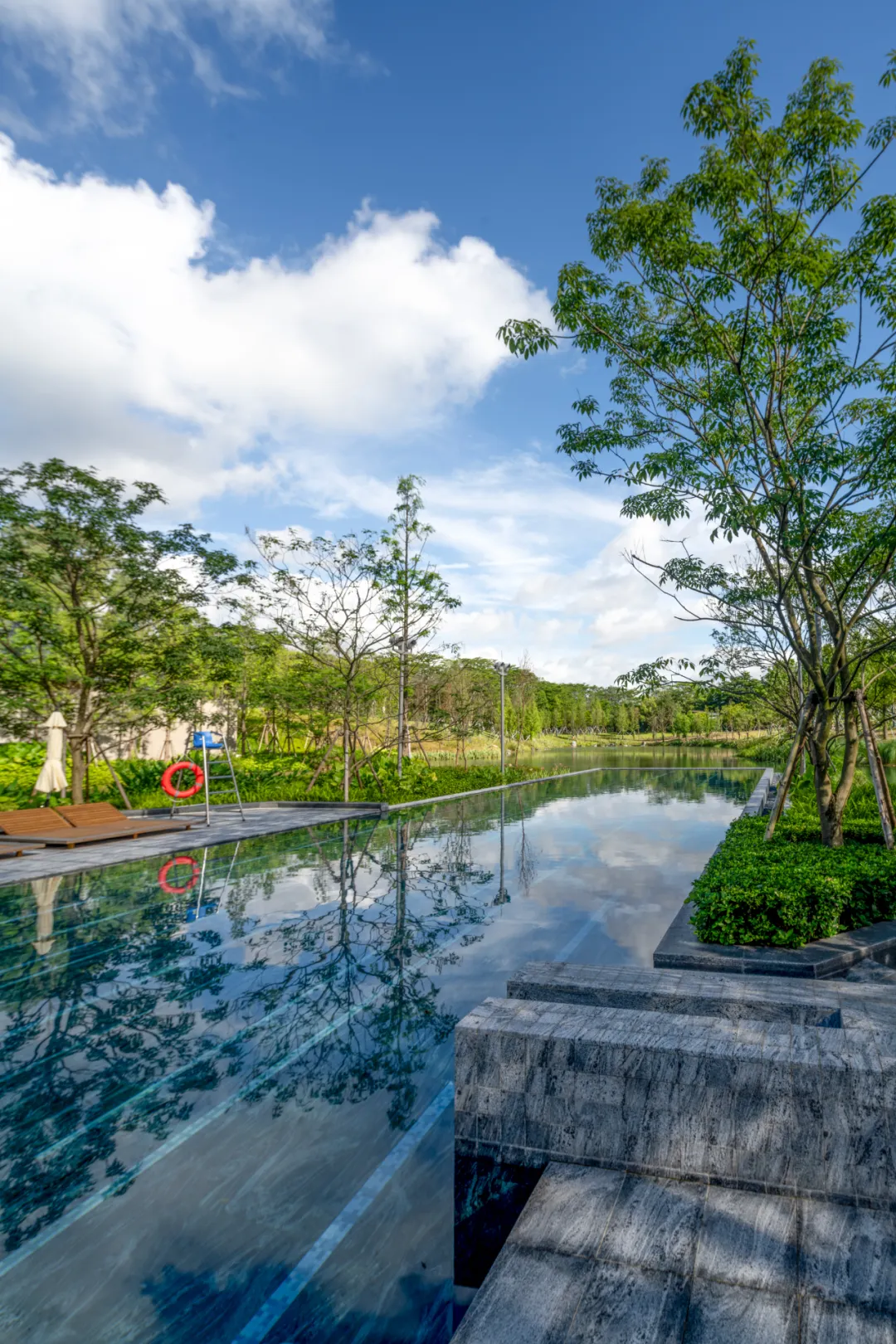 1735627855168215.jpg 1735627839807.jpg