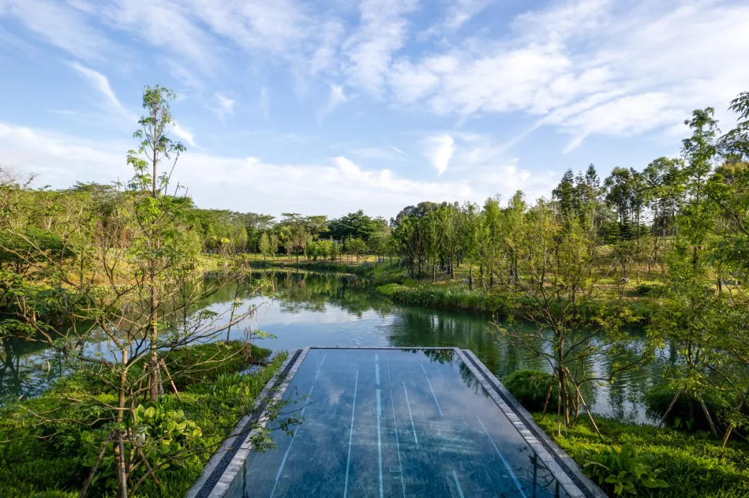 1735627858209873.jpg 1735627842274.jpg