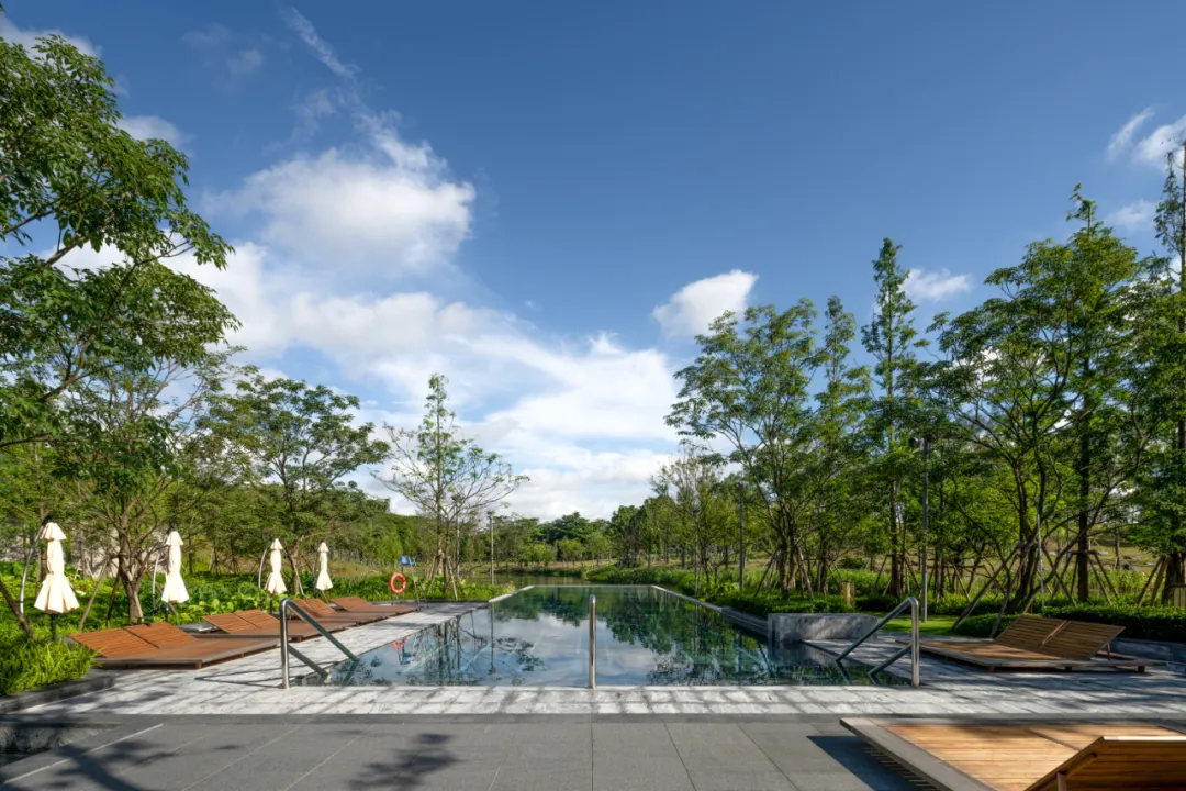 1735627862111053.jpg 1735627847039.jpg