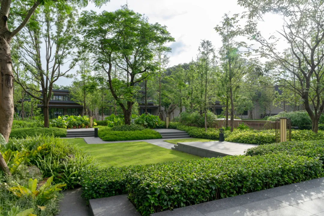 1735627893104003.jpg 1735627877254.jpg