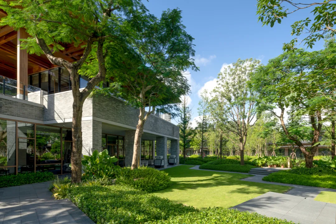 1735627898214347.jpg 1735627881969.jpg