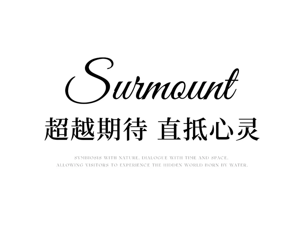 1735627901201858.jpg 1735627884962.jpg