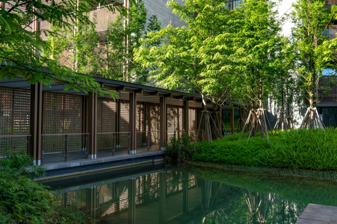 1735627955494965.jpg 1735627934366.jpg