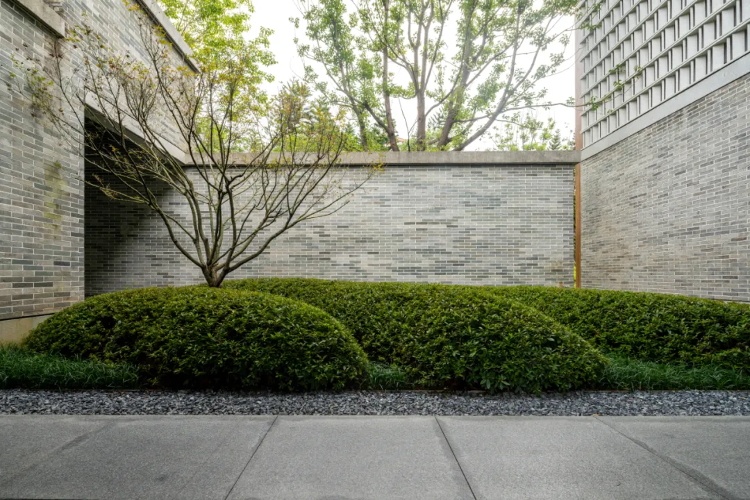 1735627959857767.jpg 1735627938276.jpg