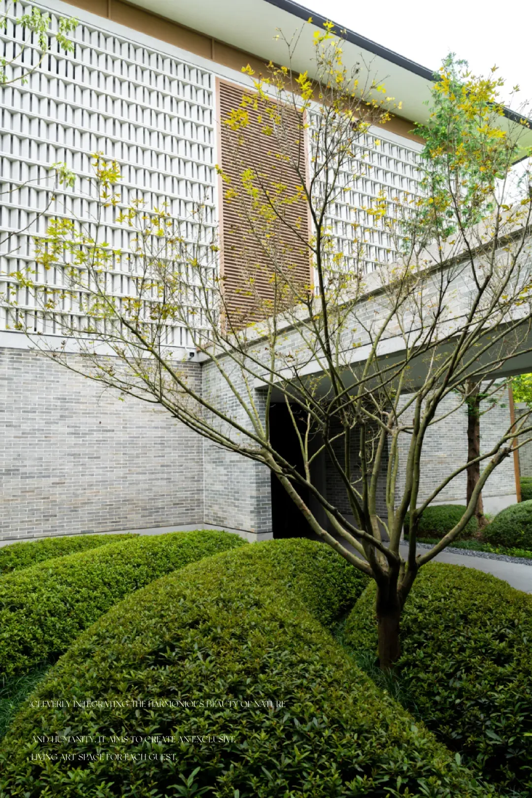 1735627964167663.jpg 1735627944651.jpg