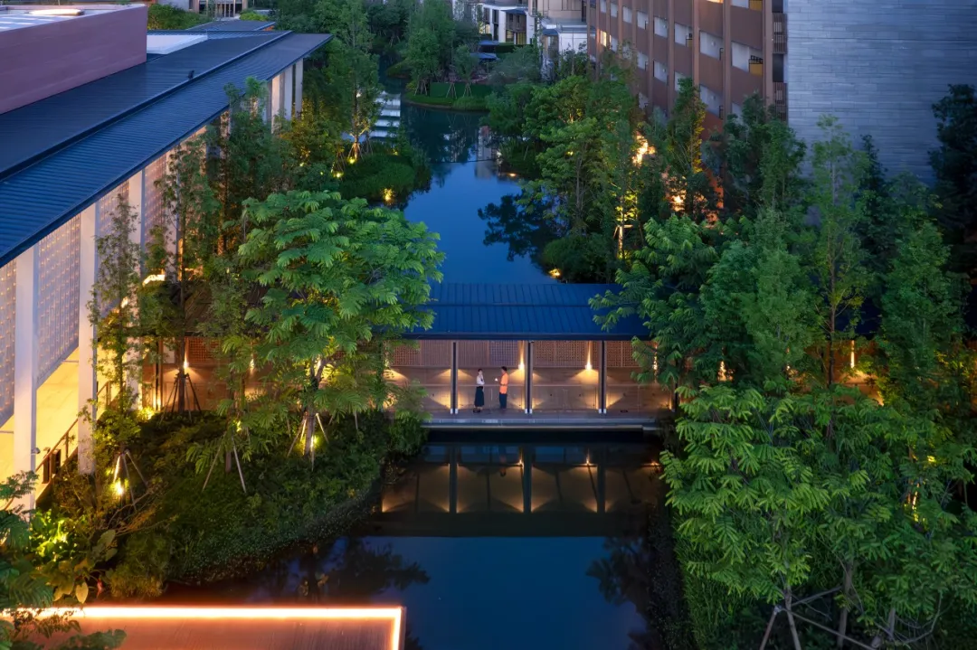 1735627983139553.jpg 1735627973667.jpg